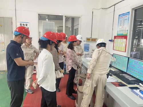 四川省市場監(jiān)管局深入廣元市開展食品生產企業(yè)體系建設專項檢查，筑牢食品安全防線